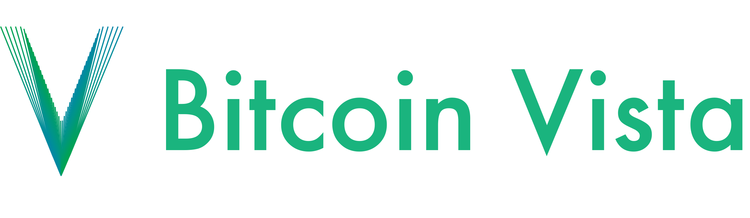 Bitcoin vista