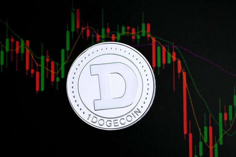 Dogecoin (DOGE) price rise: could it be a bull run?