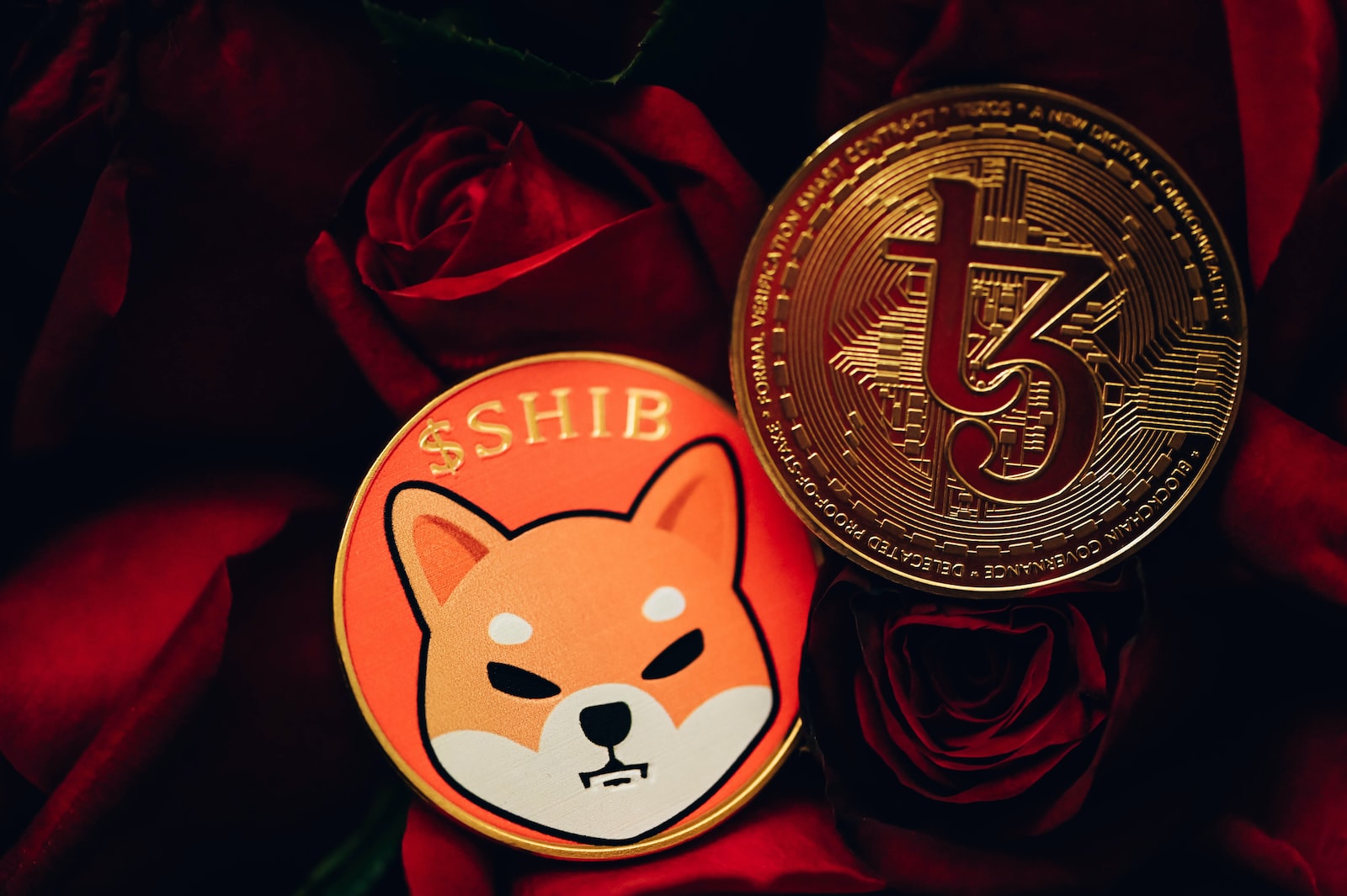 La cryptomonnaie Shiba Inu basée sur l'Ethereum et comment fonctionne