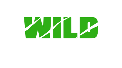 wild casino logo